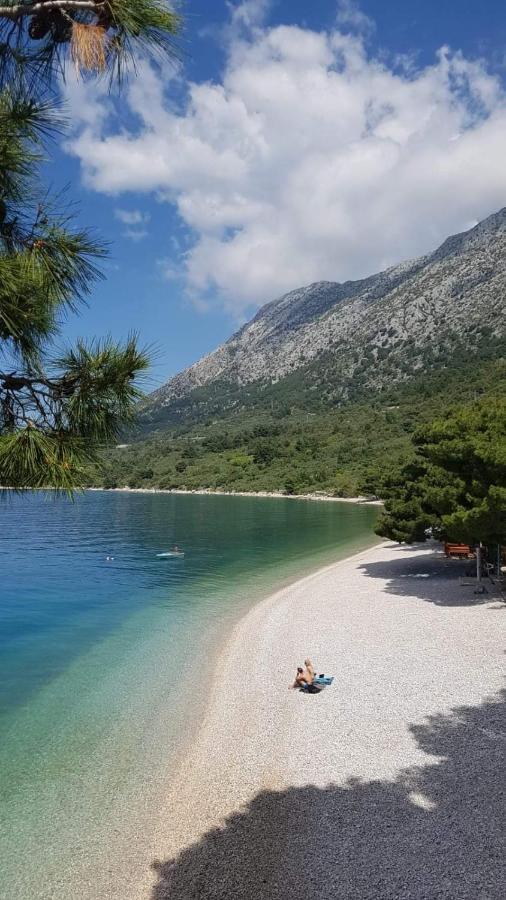 Apartmants Villa Lungo Mare Živogošće エクステリア 写真